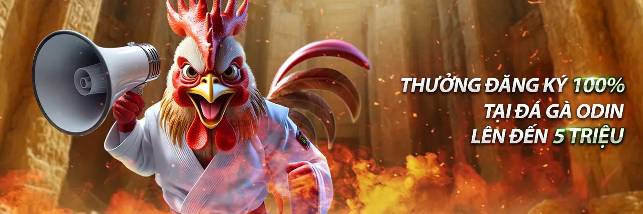 Hình ảnh đại diện Điều khoản Dịch vụ của sx666 app, thể hiện sự an toàn và minh bạch